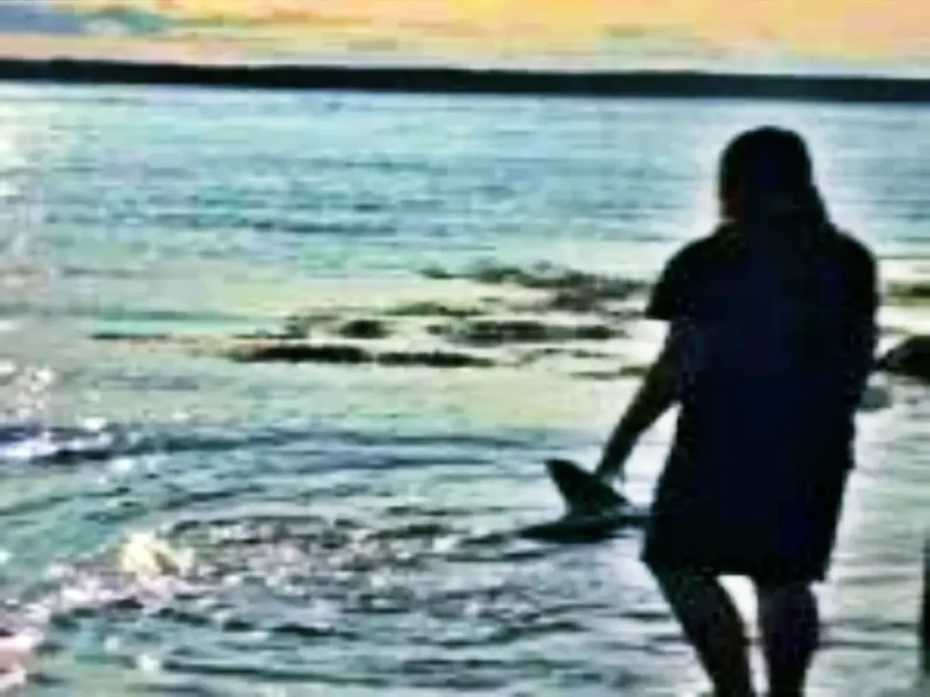 Meet Finn, the 15-year-old who saved a shark in New Brunswick